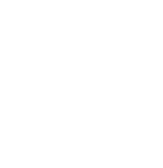 dots octagon